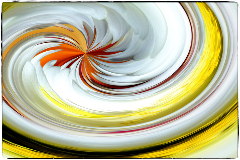 Cactus Bloom by Trudy Curtis